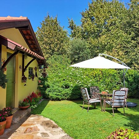 Quinta De Carcavelos Agroturismo E Enoturismo 세로리코데바스토 외부 사진