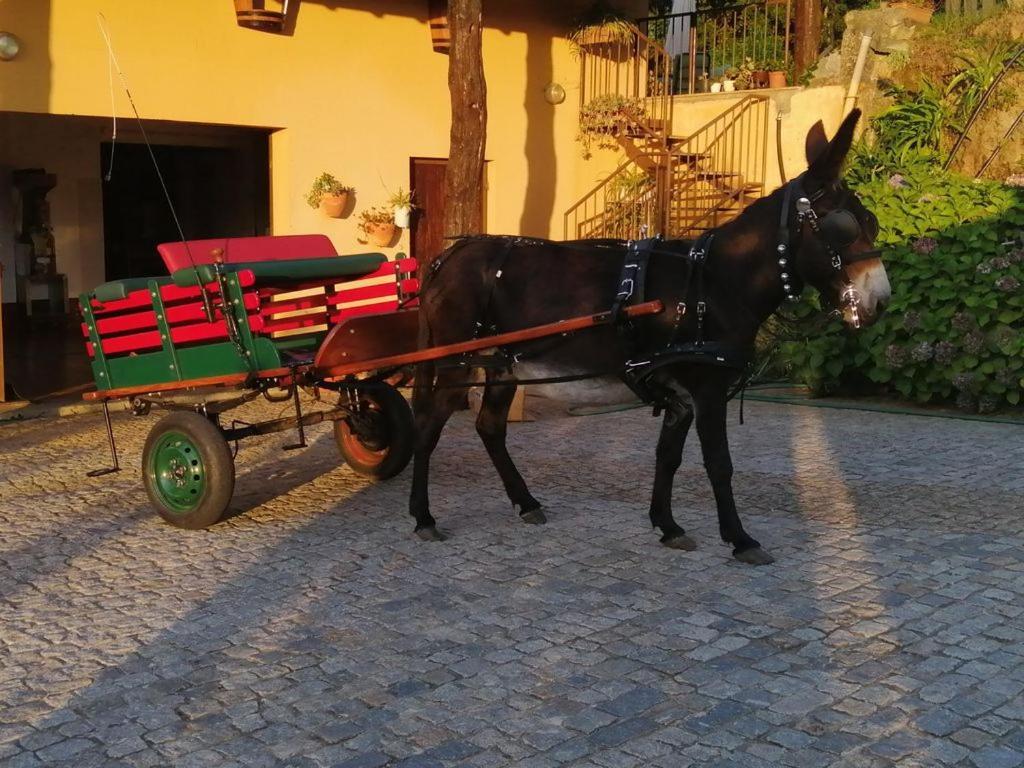 Quinta De Carcavelos Agroturismo E Enoturismo 세로리코데바스토 외부 사진
