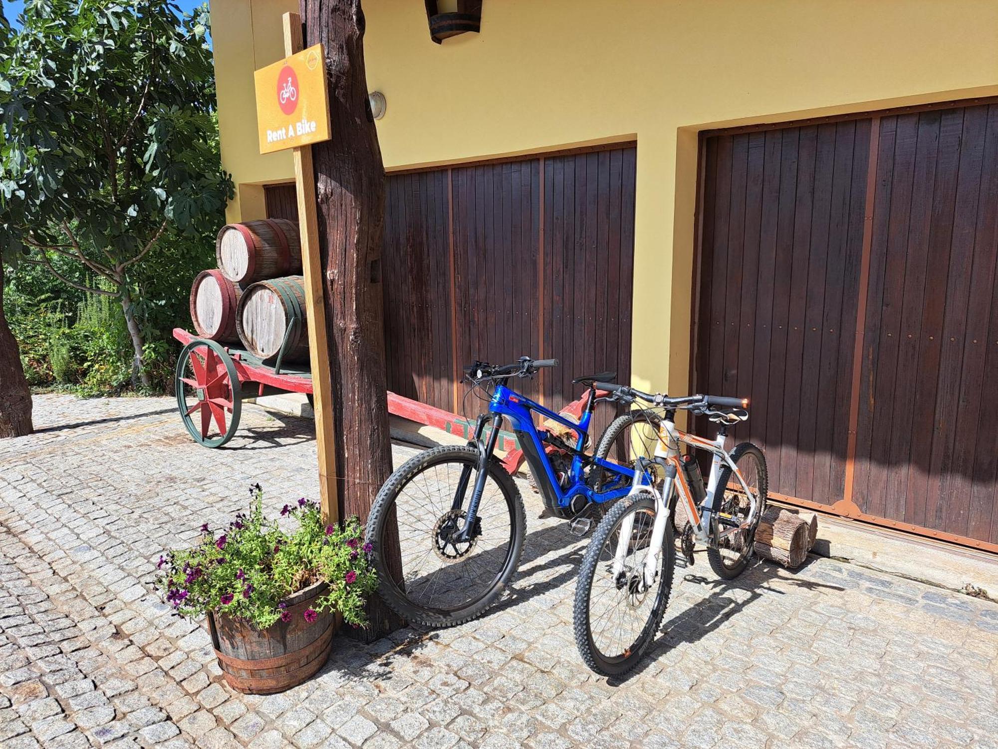 Quinta De Carcavelos Agroturismo E Enoturismo 세로리코데바스토 외부 사진